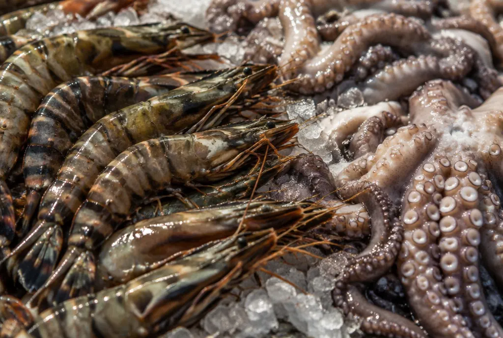 Fresh Tanzania seafood — prawns, octopus, lobster and more